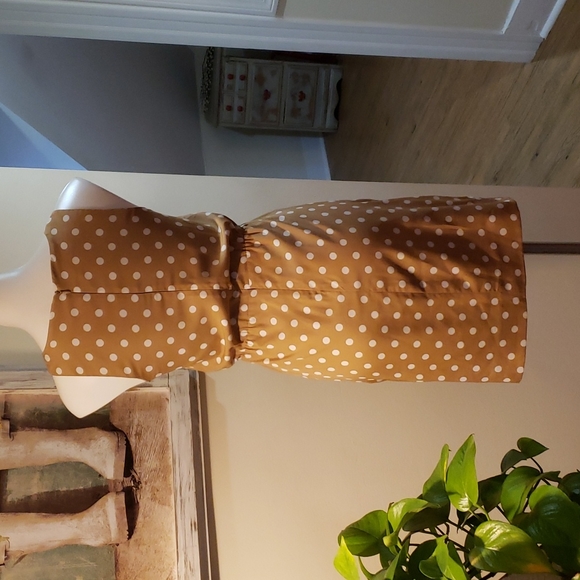 J. Crew Dress - Picture 5 of 6